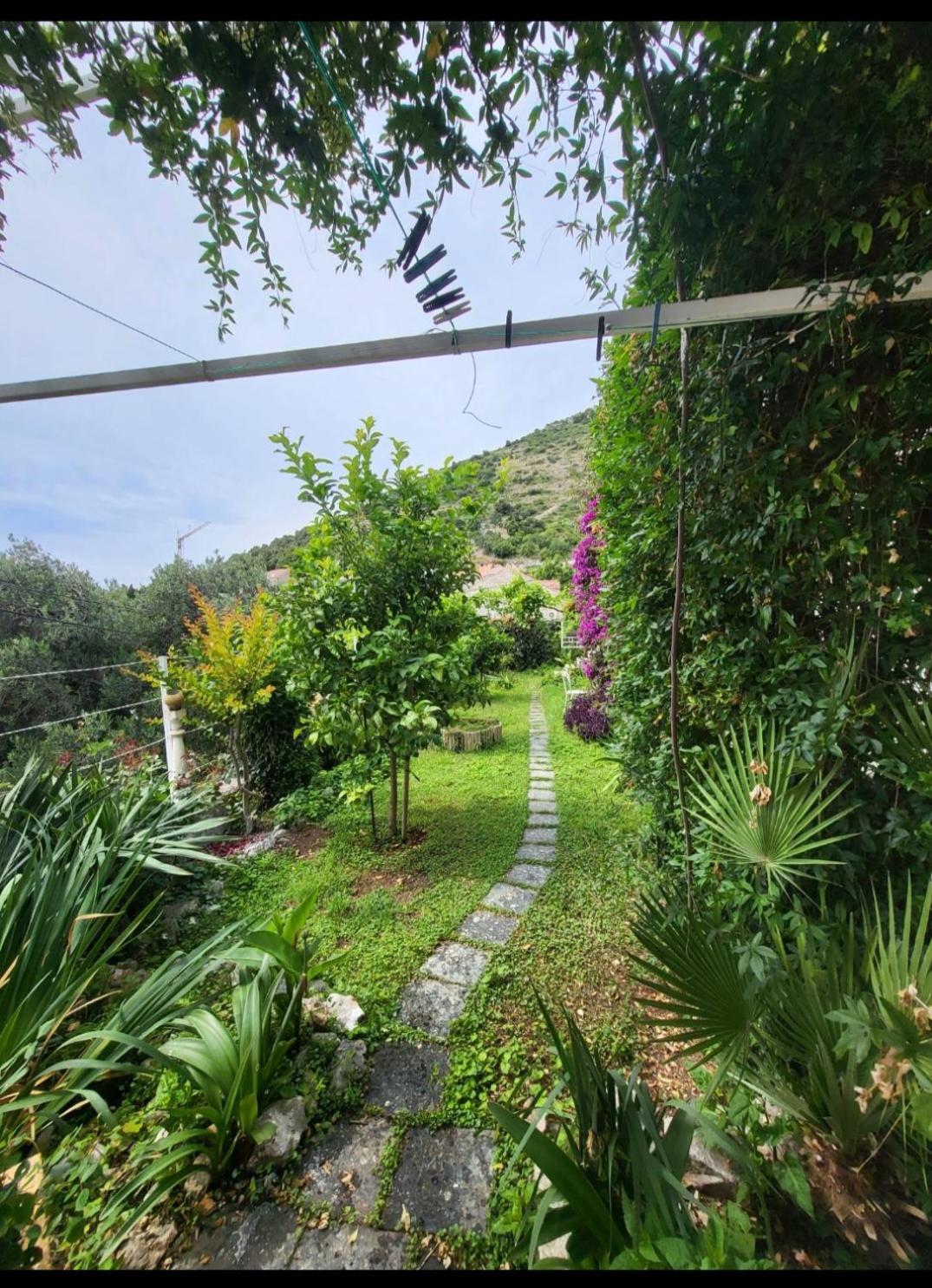 דוברובניק Greengarden מראה חיצוני תמונה